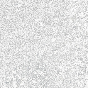 Клинкерная плитка Керамин Юта 1 6.5х24.5