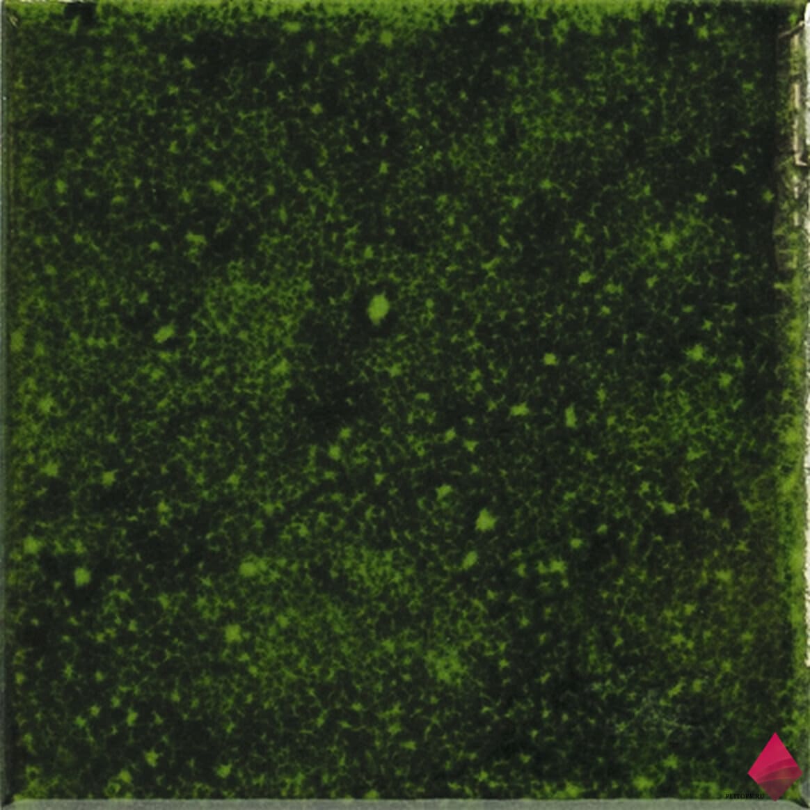 GENUINE EMERALD 10X10 Зеленая плитка 10 на 10