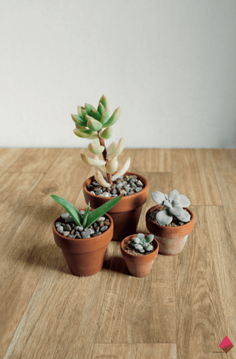 Керамогранит дерево для пола